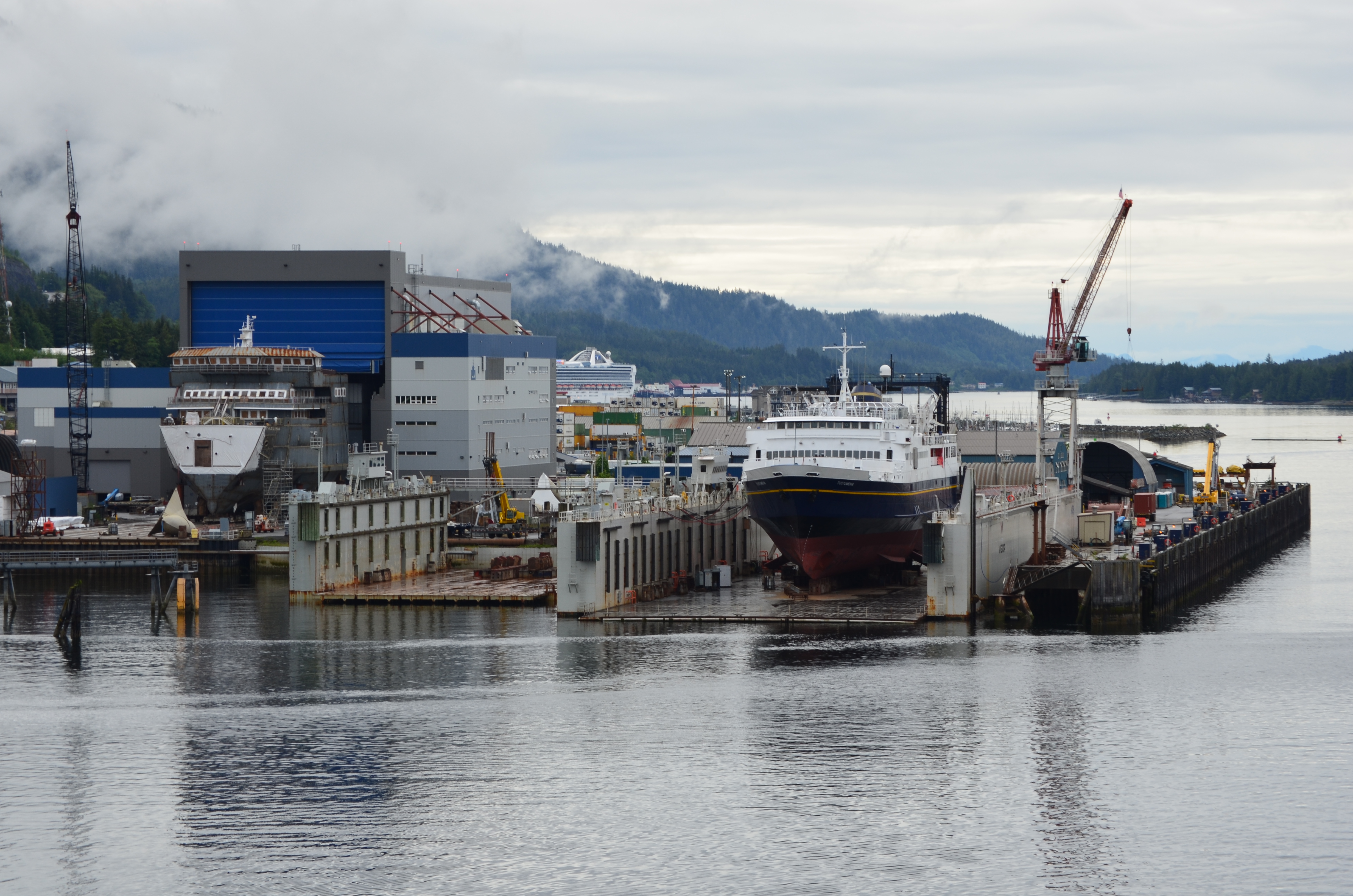 ./2017/08 - Alaska Cruise/11 - Ketchikan/DSC_0417.JPG